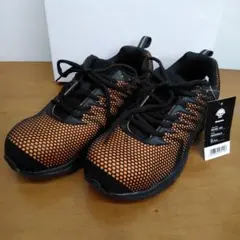 Item thumbnail for item e56d4f5c-8101-4a99-a721-317d38cfe0a3