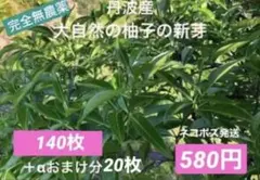 상쾌하고 신선합니다!무농약 가지로 만든 부드러운 어린 유자 잎, 140매+보너스 20매, 580엔