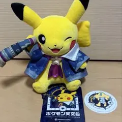 ポケモン天文台限定 ピカチュウ ぬいぐるみ＆キーホルダー セット 未