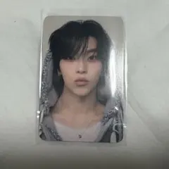 ALD1シンロン Hissingver Real touch Photocard