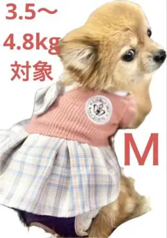 Item thumbnail for item f08709d4-65e8-4fcc-b1e0-e0a9f048adac