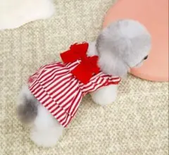 小型犬用Ｄフック付きワンピース　犬服