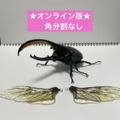 いきもの大図鑑　アドバンス　ヘラクレス セプテントリオナリス