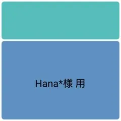 【匿名配送】チェンソーマン 早川アキ Hana 様 用