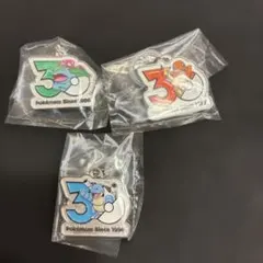 ポケモン　30周年　メタルチャーム　フシギバナ　ヒトカゲ　カメックス