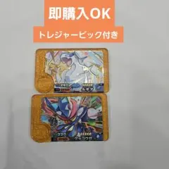 ポケモンフレンダ　ルギア・ゲッコウガ セット売り
