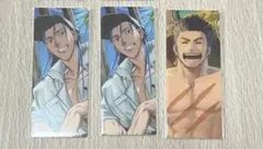 FGO 最終再臨展 編成画面風カード 水着 クー・フーリン 2枚セットフェルグス