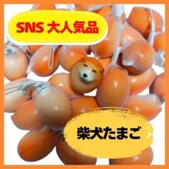 Item thumbnail for item 6a33ca6c-5524-4f05-82fb-b6bbe3155237