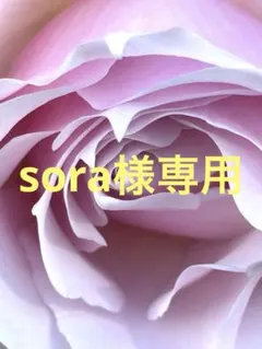 sora様専用 エコティッシュカバー　ハワイアン雑貨　ハンドメイド