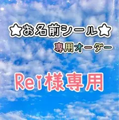 ＊＊＊Rei様専用＊＊＊