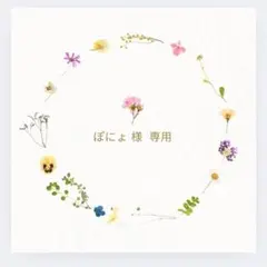 ぽにょ様 リクエスト 2点 まとめ商品