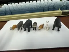 Item thumbnail for item b08df7a4-8493-4131-9c68-0ed819bc20c5