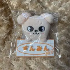 【約200点】straykids スキズ スンミン パピーム グッズ まとめ売り Stray kids スキズ スンミン パピーム ネームバックチャーム