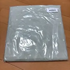 Item thumbnail for item 76179501-de0a-42b9-a3da-0c466c5dff85