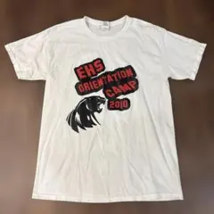 GILDAN EHS 2010 Tシャツ Lサイズ