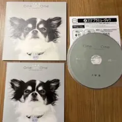 大塚愛 CD/犬塚 愛 One on One Collaboration