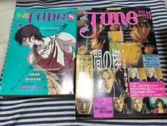 希少】小説June1992年11月号 間の楔 塩沢兼人 - メルカリ