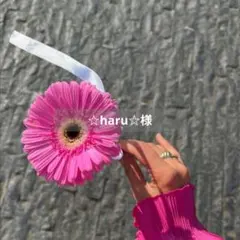 Item thumbnail for item b826e517-be52-4ab6-b7c5-83c02e658296