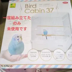 Item thumbnail for item 34655274-38c5-4541-bbec-cb74c7e96b0b