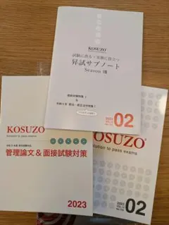 2025年最新】kosuzo 論文の人気アイテム - メルカリ