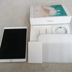 iPad Pro 10.5インチ Wi-Fi+Cellularモデルのサムネイル