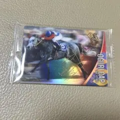 2026年最新】サラブレッドカード オグリキャップの人気アイテム - メルカリ