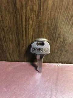 Item thumbnail for item cbf4b631-f8ac-4c98-83aa-2c39c0f2daf9