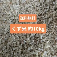 くず米 砕米 鳥のエサ 内容量10kg国内産 全国送料込 - メルカリ