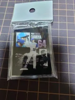 2026年最新】田宮裕涼 アクスタの人気アイテム - メルカリ