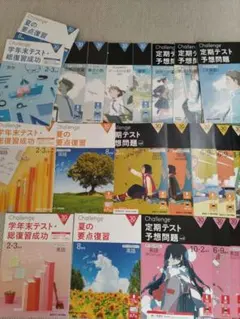 高1向　受験準備に（書込みなし）進研ゼミ高校講座