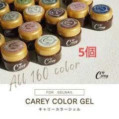 カラージェル ５個 ジェルネイル ネイルシアーカラー
