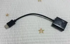 HDMI-VGA(D-SUB)変換アダプタ HDMI-RGB変換ケーブル