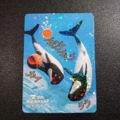 鳥羽水族館コレクションカード レア イロワケイルカ 含む 計3枚