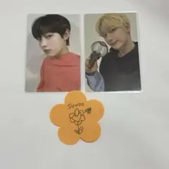 ENHYPEN ソヌ ペンライト トレカ