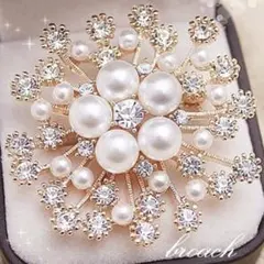 Item thumbnail for item 002f192b-51b7-4ff2-821b-2ba15899fe03