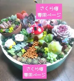 さくら様専用ページ♪ 赤いきのこのお家♪ 多肉植物寄せ植え⭐️そのまま飾れる陶器