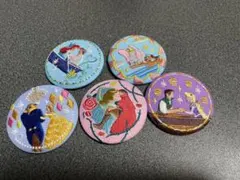 ディズニープリンセス刺繍ピンバッジ5個セット