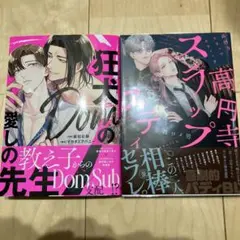 BLマンガ　２冊セット