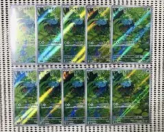 フシギダネ AR フシギソウ AR 20枚セット SV2a ポケモンカード151
