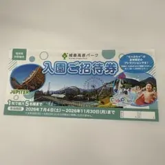 夏休みに！ 東京サマーランド 株主優待券 ご招待券 2枚セット プール