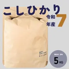 令和7年産 高知県産 コシヒカリ 5KG #BF07_13のサムネイル