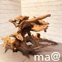 天然流木333 アク抜き処理済み　沈水処理済み　ビオトープ　水槽レイアウト