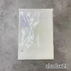 Item thumbnail for item 82dee88e-2096-4aec-b73a-c567f6908370