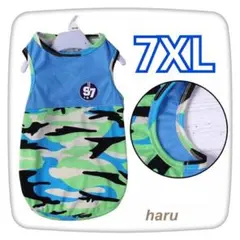 Item thumbnail for item 136ee9cb-b6bf-4c4d-bc92-7aac4925c7d1