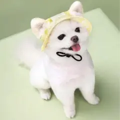 ワンちゃん用帽子 Sサイズ 2点セット