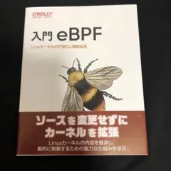 入門eBPF : Linuxカーネルの可視化と機能拡張