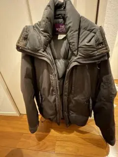 THE NORTH FACE PURPLE LABEL マウンテンショートダウン