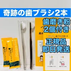 Item thumbnail for item 029cb680-3b04-4e50-bd9a-56aa9010e983