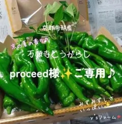 ❇️☘️『proceed様』ご専用です♪❇️①☘️28日発送♪（予定）