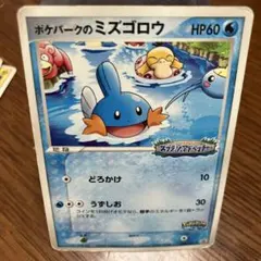 ポケパークのミズゴロウ PROMO PCG-Pプロモカード 048/PCG-P